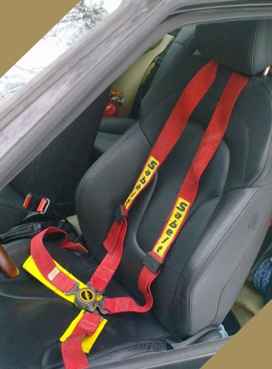 מי התפנק יותר ממושבי העור של אאודי TT - אלפא, אני או מקס וובר?