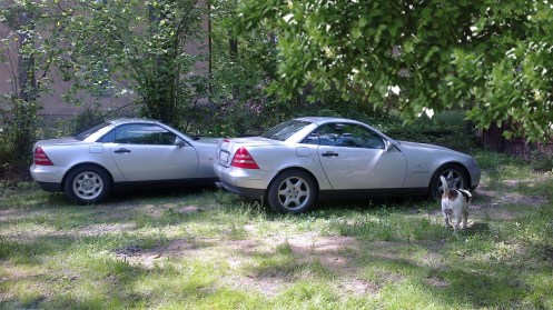 2 x SLK etr Max ok small[1]