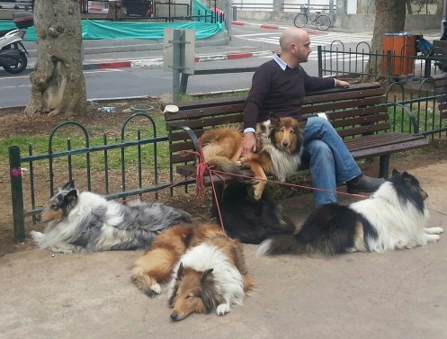 20161224_123350-2-1-1 (1)